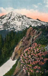 A prímula no Monte Rainier, c1916