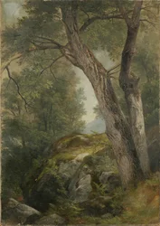 Nogueira-branca em Hague, Lago George, Nova Iorque, 1862
