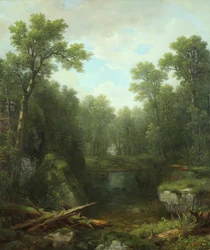 Chapel Pond Brook, Keene Flats, montanhas Adirondack, Nova Iorque, 1871