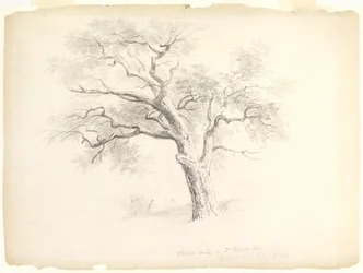 O Carvalho de Castanha no Hosack Estate, Hyde Park, Nova Iorque com Cinco Figuras e um Artist Sketching, 1838 (grafite sobre papel)