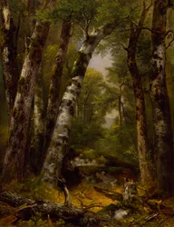 Woodland Glen, c. 1850-1855.