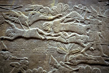 Assurbanipal na batalha de Til-Tuba, 650-620 aC