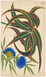 Desenho de Bordado de Flores