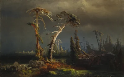 Tempestades crescentes - floresta primitiva morrendo em tempestades (óleo sobre tela)