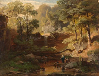 Paisagem da floresta com um riacho
