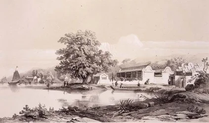 Mandarim