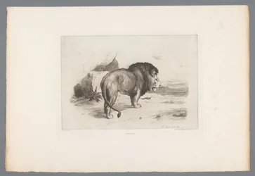 Leão Un vieux lion (título no objeto) gravuras francesas de 1874 (título da série) L