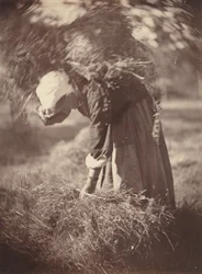 Camponês, c. 1870.