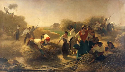 Debulha de colza nos campos de Lille