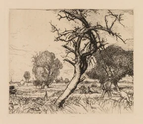 Auguste Lepère: Le pommier mort Picardie, 1913.
