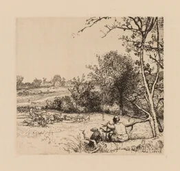 Auguste Lepère: A macieira virada (Picardia)