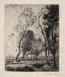 Pôr do sol atrás das árvores, 1909.