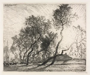 Fazenda com árvores de álamo da Holanda, 1914.