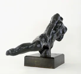 Figura voadora  1