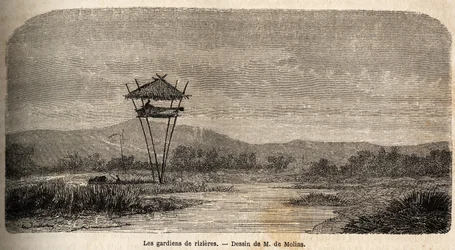 Um guarda de arroz, perto de Batávia (actual Jacarta). Desenho de M. de Molins, para ilustrar a sua viagem a Java