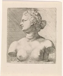 Busto de Vénus de