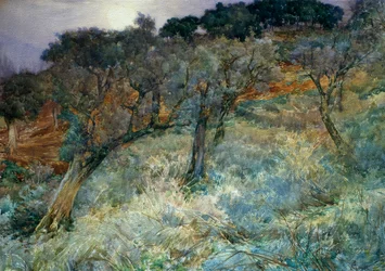 olival, de Augusto Corelli (1853-1910)
