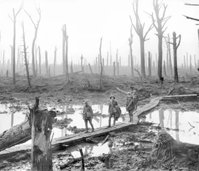Cinco australianos, membros de uma brigada de artilharia de campo, passando por uma pista de patinação sobre a lama e a água entre troncos de árvores nuas no devastado Chateau Wood, uma parte de um dos campos de batalha.