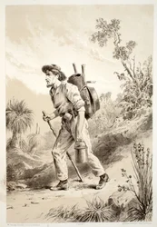 Digger on the Tramp, da história da Australásia por David Blair, McGrady, Thomson e Niven, 1879