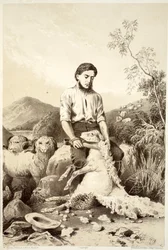 Tosquia de ovelhas, de The History of Australasia, de David Blair, McGrady, Thomson e Niven, 1879