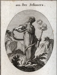 Alegoria da dor. Uma cobra monstruosa rodeia-o que, depois de ter atado os seus pés, ganha o seu corpo e tenta morder o seu coração. Ela segura uma tocha que ainda fuma, o que significa que o abatimento induzido pela dor cessa o fogo da alma. Gravura em "I