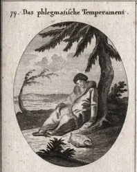 Alegoria da compleição fleumática. A tartaruga é o atributo da sua lentidão. Gravação em "Iconologie oder Ideen aus dem Gebiet der Leidenschaften und Allegorien bildestellt fur Zeichner, Mahler, Dichter, Gelehrte, Erzieher und befunden Hohere