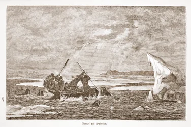 Lute com Morsa, 1876