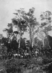 Matta Virgem, 1895