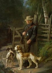 Menino com cães esportivos