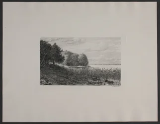 Dinamarquês: Ved Esrum sø