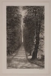 Avenida dos suspiros