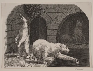 Ursos no Jardin des Plantes