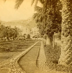 Monte Carlo, olhando do cassino, 1897.