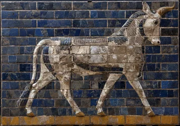 Touro sagrado - Relevos de tijolo de esmalte da Porta de Ishtar - Babilónia - 604-562 a.C. - Nabuchadnezzor período Museu Arqueológico de Istambul - Um touro, detalhe de telhas de tijolo vidrado retratando animais mitológicos que adornaram o Caminho Proces