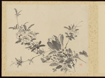 "Elegância refinada nas quatro estações" (Shiji seiga), Álbum de pinturas de flores