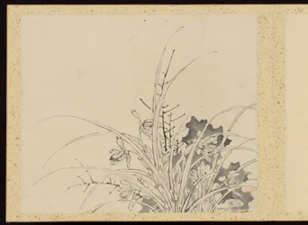 "Elegância refinada nas quatro estações" (Shiji seiga), Álbum de pinturas de flores