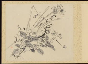 "Elegância refinada nas quatro estações" (Shiji seiga), Álbum de pinturas de flores