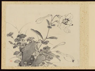 "Elegância refinada nas quatro estações" (Shiji seiga), Álbum de pinturas de flores