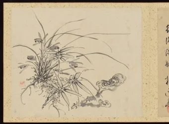 "Elegância refinada nas quatro estações" (Shiji seiga), Álbum de pinturas de flores