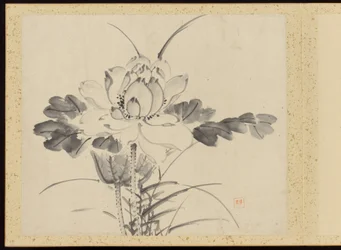 "Elegância refinada nas quatro estações" (Shiji seiga), Álbum de pinturas de flores
