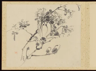"Elegância refinada nas quatro estações" (Shiji seiga), Álbum de pinturas de flores