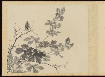 "Elegância refinada nas quatro estações" (Shiji seiga), Álbum de pinturas de flores