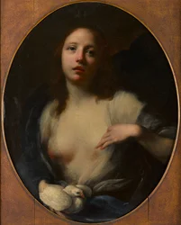 Pintura de uma jovem rapariga com pomba branca (óleo sobre tela)