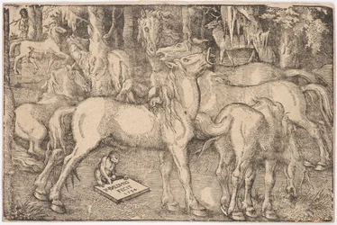 Grupo de Sete Cavalos, 1534.