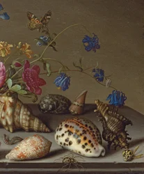 Flores, conchas e insetos em uma borda de pedra