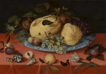 Natureza morta de frutos com conchas e tulipas