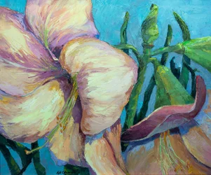 Amaryllis 2, c.1990-2000 (óleo sobre tela)