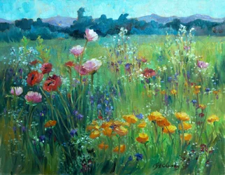 Campo de papoilas, c.1980-95 (óleo sobre tela)