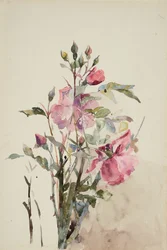 Caules de flores rosa (aguarela sobre papel)