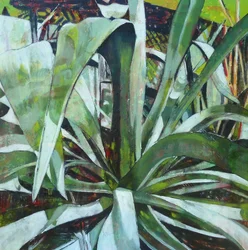 Agave de folhagem exuberante